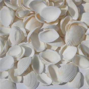 50 τμχ Fashion Aquarium Landscape Seashells Jewelry Craft Decor Φυσικά κοχύλια βούκινο καλαμπόκι Βίδα διακόσμηση τοίχου
