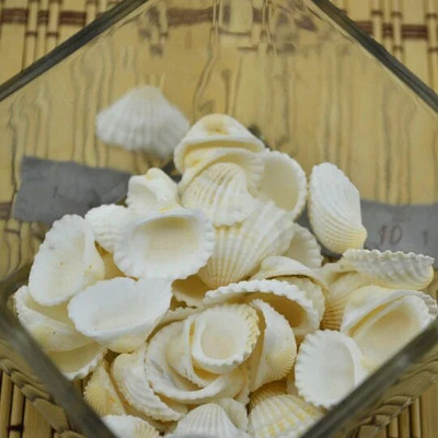 50 vnt. mados akvariumo kraštovaizdžio kriauklės papuošalai amatų dekoras Natūralūs kriauklės kriauklės, kukurūzų sraigtai, sienų apdaila