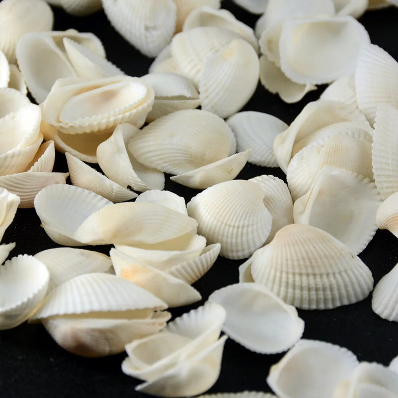 50 vnt. mados akvariumo kraštovaizdžio kriauklės papuošalai amatų dekoras Natūralūs kriauklės kriauklės, kukurūzų sraigtai, sienų apdaila