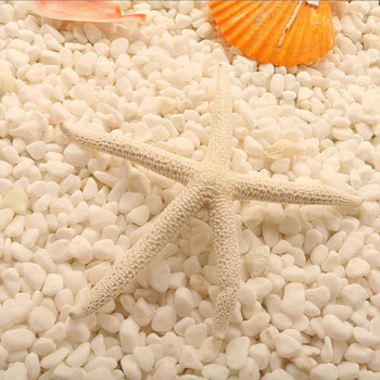 Φυσικό 5-12cm 10-12cm White Finger Starfish Sea Stylish Home Hair Wedding Decor and Craft Project