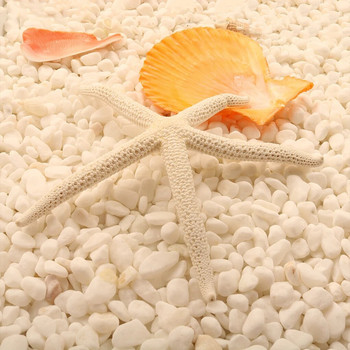 Φυσικό 5-12cm 10-12cm White Finger Starfish Sea Stylish Home Hair Wedding Decor and Craft Project