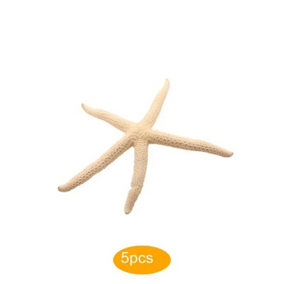 Prirodna 5-12 cm 10-12 cm Bijeli prst Morska zvijezda More Elegantna kućna frizura Uređenje vjenčanja i zanatski projekt