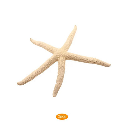 Prirodna 5-12 cm 10-12 cm Bijeli prst Morska zvijezda More Elegantna kućna frizura Uređenje vjenčanja i zanatski projekt