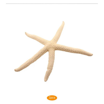 Prirodna 5-12 cm 10-12 cm Bijeli prst Morska zvijezda More Elegantna kućna frizura Uređenje vjenčanja i zanatski projekt