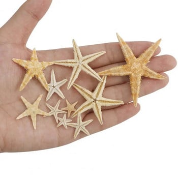 20/50/100PCS 1 Κουτί Φυσικός Αστερίας Seashell Beach Craft Natural Sea Stars DIY Χειροτεχνία διακόσμησης γάμου παραλίας Εποξειδική διακόσμηση σπιτιού