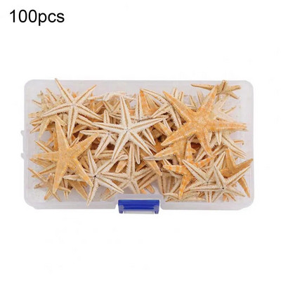 20/50/100 DB 1 doboz Természetes tengeri csillag Kagyló Strand Kézműves Természetes Tengeri Csillagok Barkácsolás Tengerparton Esküvői Kézműves Házi dekoráció Epoxi