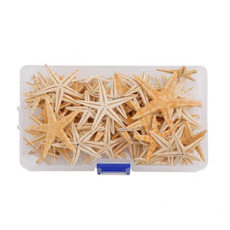 20/50/100 DB 1 doboz Természetes tengeri csillag Kagyló Strand Kézműves Természetes Tengeri Csillagok Barkácsolás Tengerparton Esküvői Kézműves Házi dekoráció Epoxi