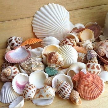 Φυσικό Mini Conch Mediterranean 1 Bag Interesting Color Mixed Real Small Sea Shells Aquarium Nautical Decorment