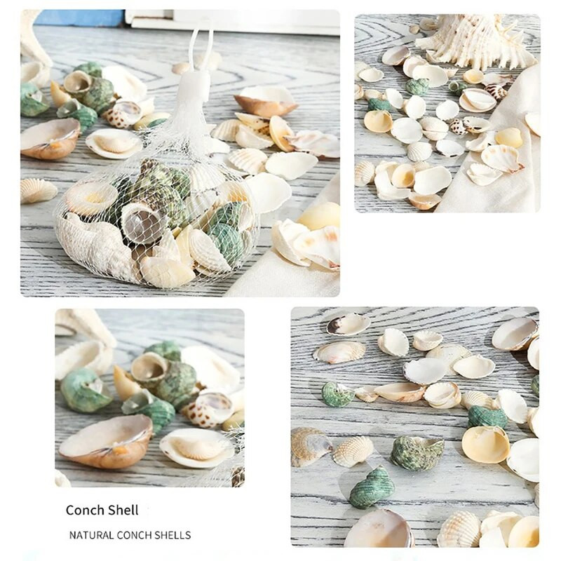 Natūralus mini kriauklė Viduržemio jūros 1 maišelis Įdomių spalvų mišrios tikros mažos jūros kriauklės Akvariumo jūrinės puošmenos