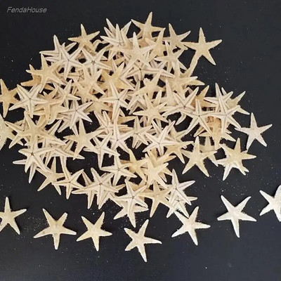 100db tengeri kagyló Méret: 0,5-3 cm Mini Starfish Kézműves dekoráció Természetes tengeri csillagok DIY Beach Cottage Esküvői Dekoráció Kézműves Esküvő