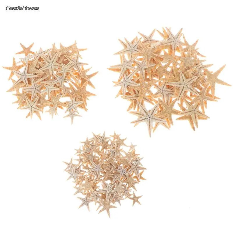 100db tengeri kagyló Méret: 0,5-3 cm Mini Starfish Kézműves dekoráció Természetes tengeri csillagok DIY Beach Cottage Esküvői Dekoráció Kézműves Esküvő