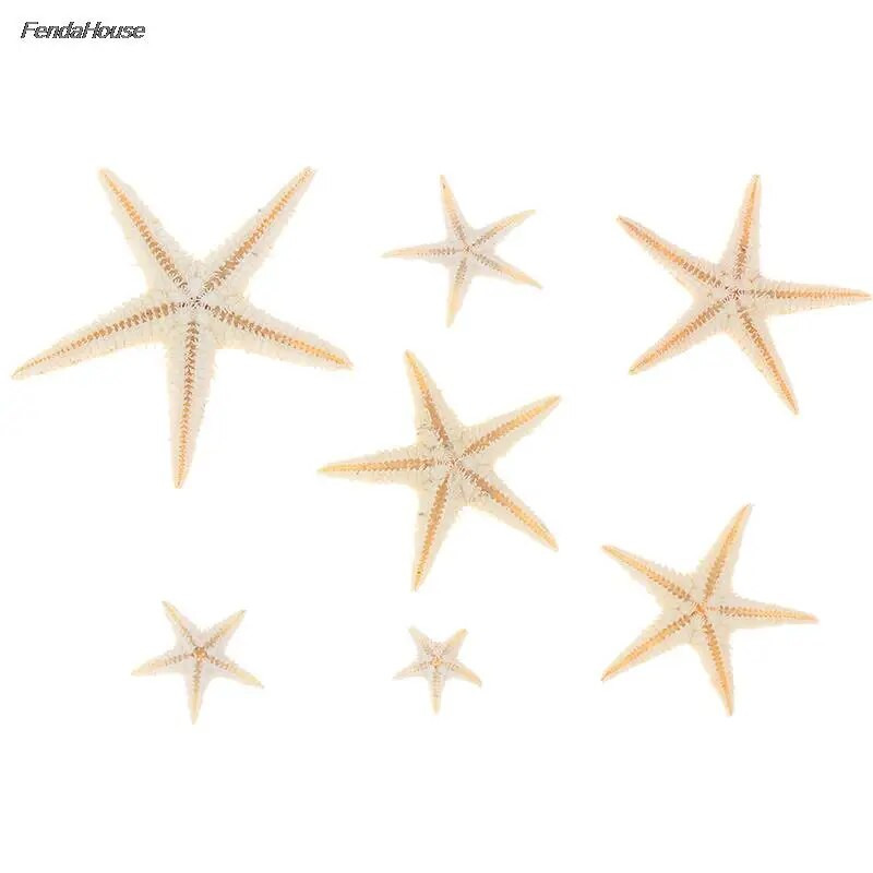 100db tengeri kagyló Méret: 0,5-3 cm Mini Starfish Kézműves dekoráció Természetes tengeri csillagok DIY Beach Cottage Esküvői Dekoráció Kézműves Esküvő