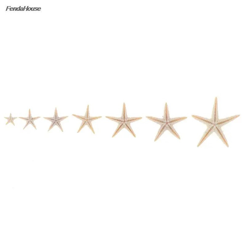 100db tengeri kagyló Méret: 0,5-3 cm Mini Starfish Kézműves dekoráció Természetes tengeri csillagok DIY Beach Cottage Esküvői Dekoráció Kézműves Esküvő