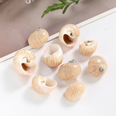 5 ks prírodných vtáčích vajec s pruhovaným vzorom, zbierka mušlí, vzorky krabov pustovníkov, náhradné škrupiny, akvárium, námorná dekorácia