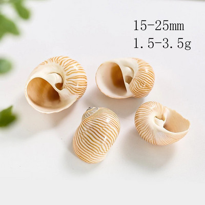 5 ks prírodných vtáčích vajec s pruhovaným vzorom, zbierka mušlí, vzorky krabov pustovníkov, náhradné škrupiny, akvárium, námorná dekorácia