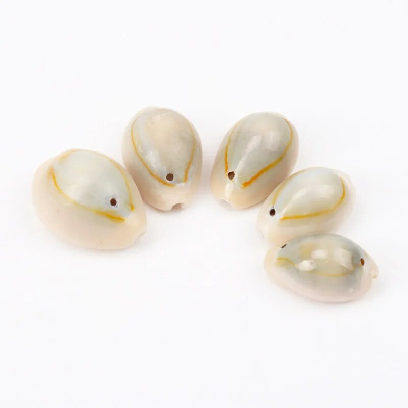 Prirodne spiralne morske školjke školjke s jednom rupom za DIY ručnu izradu nakita za uređenje doma 10-25 mm 20 kom