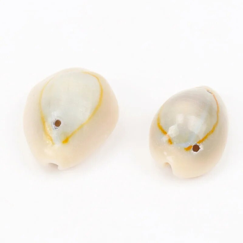Prirodne spiralne morske školjke školjke s jednom rupom za DIY ručnu izradu nakita za uređenje doma 10-25 mm 20 kom
