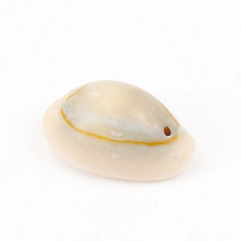 Prirodne spiralne morske školjke školjke s jednom rupom za DIY ručnu izradu nakita za uređenje doma 10-25 mm 20 kom