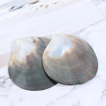 Φυσικά κοχύλια Μαύρο κοχύλι πεταλούδας Κοσμήματα DIY Shell Nautical Beach Decor Scallop δείγμα Δίσκος καρυκευμάτων με χαβιάρι εστιατορίου