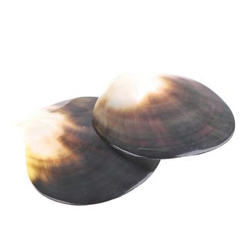 Φυσικά κοχύλια Μαύρο κοχύλι πεταλούδας Κοσμήματα DIY Shell Nautical Beach Decor Scallop δείγμα Δίσκος καρυκευμάτων με χαβιάρι εστιατορίου
