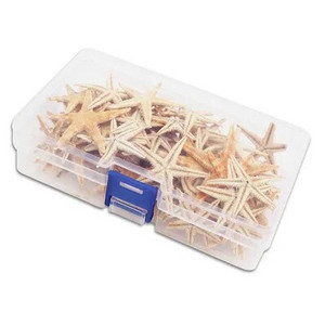 Cochilie naturală Steaua de mare Conch Rsein Instrumente de umplutură Umplutură în stil oceanic Cochilie de decorare pentru bricolaj Mucegai din rășină epoxidica Fabricarea de bijuterii