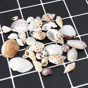 Natural Shell Morska звезда Conch Rsein Fillings Инструменти Ocean Style Filler Decoration Shell за Направи си сам Мухъл от епоксидна смола Изработка на бижута