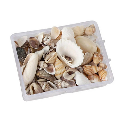 Cochilie naturală Steaua de mare Conch Rsein Instrumente de umplutură Umplutură în stil oceanic Cochilie de decorare pentru bricolaj Mucegai din rășină epoxidica Fabricarea de bijuterii