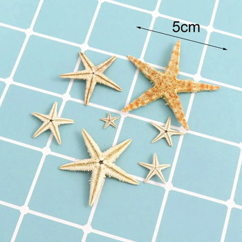 Практична морска звезда, леки естествени океански плажни миди, бяла звездна морска черупка за многократна употреба за парти