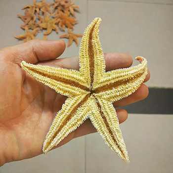 10-16 см естествени сушени морски звезди орнаменти Морска звезда Плажни черупки Занаяти Сватбено парти Подпори за домашни снимки Аксесоари за декорация