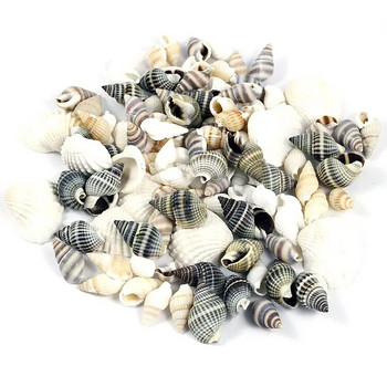 30 бр. Малки масово изрязани плажни морски естествени черупкови мъниста от раковини Cowry Cowrie Tribal Jewellery Craft Accessories дупки Направи си сам