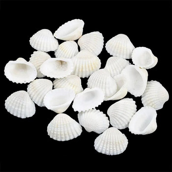 30 τμχ Small Bulk Cut Beach Sea Natural Shell Conch Beads Cowry Cowrie Tribal Jewellery Craft Accessories τρύπες DIY