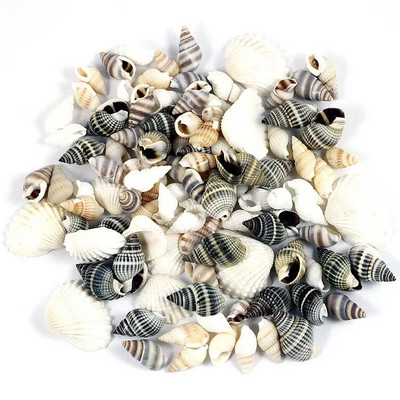 30 komada Small Bulk Cut Beach Sea Natural Shell Conch Perle Cowry Cowrie Tribal Jewellery Craft Accessories rupe DIY