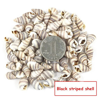 30 de bucăți mici, tăiate în vrac, plajă, mare, coajă naturală, margele de caracol, cauri, bijuterii tribale, accesorii pentru artizanat, găuri DIY