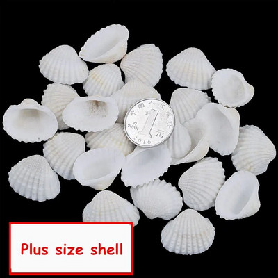 30 de bucăți mici, tăiate în vrac, plajă, mare, coajă naturală, margele de caracol, cauri, bijuterii tribale, accesorii pentru artizanat, găuri DIY