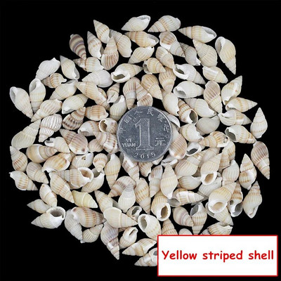 30 de bucăți mici, tăiate în vrac, plajă, mare, coajă naturală, margele de caracol, cauri, bijuterii tribale, accesorii pentru artizanat, găuri DIY