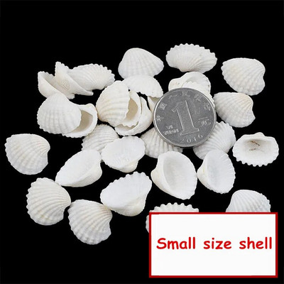 30 de bucăți mici, tăiate în vrac, plajă, mare, coajă naturală, margele de caracol, cauri, bijuterii tribale, accesorii pentru artizanat, găuri DIY