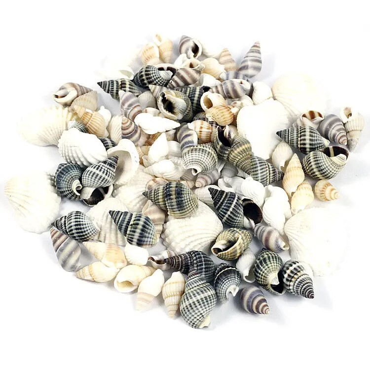 30 de bucăți mici, tăiate în vrac, plajă, mare, coajă naturală, margele de caracol, cauri, bijuterii tribale, accesorii pentru artizanat, găuri DIY
