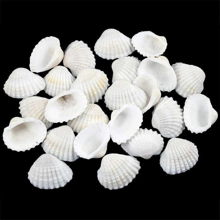 30 de bucăți mici, tăiate în vrac, plajă, mare, coajă naturală, margele de caracol, cauri, bijuterii tribale, accesorii pentru artizanat, găuri DIY