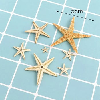 20/50/100 τμχ Λευκός αστερίας Όμορφες χειροτεχνίες DIY Φυσικό Μικτό κοχύλι αστερίας επαναχρησιμοποιούμενο Star Sea Shell για διακόσμηση γάμου