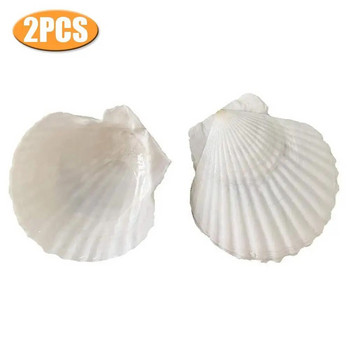2PCS 10-14CM Естествени черупки Големи бели миди Орнамент от миди Морски домашен декор Плажни сватбени декорации Бижута Направи си сам Shell