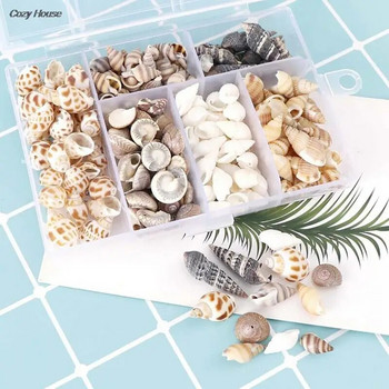Mix Style Natural Shell 1-3cm 1 BOX Natural Conch Shells Mini Conch Corn Screw Διακόσμηση τοίχου DIY Ενυδρείο Landscape Seashells