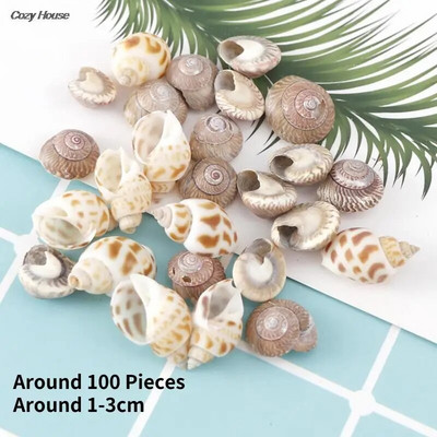 Mix Style Natural Shell 1-3cm 1 BOX Natural Conch Shells Mini Conch Corn Screw Seinakaunistus DIY Akvaariumi Maastikuga merekarbid