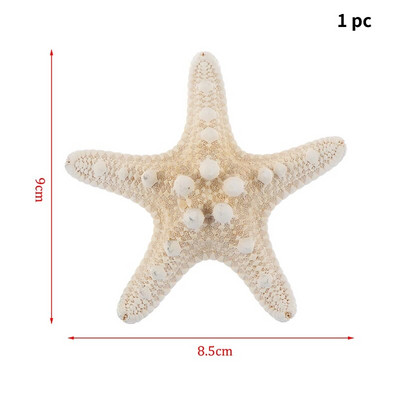 Mix Style Natural Shell 1-3cm 1 DĖŽUTĖ Natūralios kriauklytės Mini kriauklė Kukurūzų Sraigtas Sienų dekoravimas Pasidaryk pats akvariumo kraštovaizdžio kriauklės