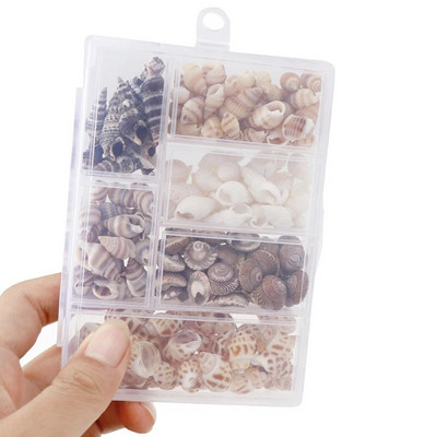 Mix Style Natural Shell 1-3cm 1 DĖŽUTĖ Natūralios kriauklytės Mini kriauklė Kukurūzų Sraigtas Sienų dekoravimas Pasidaryk pats akvariumo kraštovaizdžio kriauklės