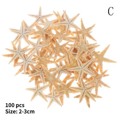 Mix Style Natural Shell 1-3cm 1 DĖŽUTĖ Natūralios kriauklytės Mini kriauklė Kukurūzų Sraigtas Sienų dekoravimas Pasidaryk pats akvariumo kraštovaizdžio kriauklės