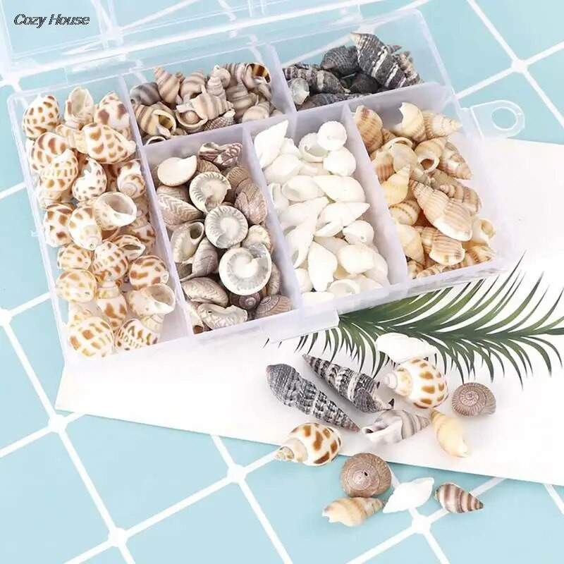 Mix Style Natural Shell 1-3cm 1 DĖŽUTĖ Natūralios kriauklytės Mini kriauklė Kukurūzų Sraigtas Sienų dekoravimas Pasidaryk pats akvariumo kraštovaizdžio kriauklės