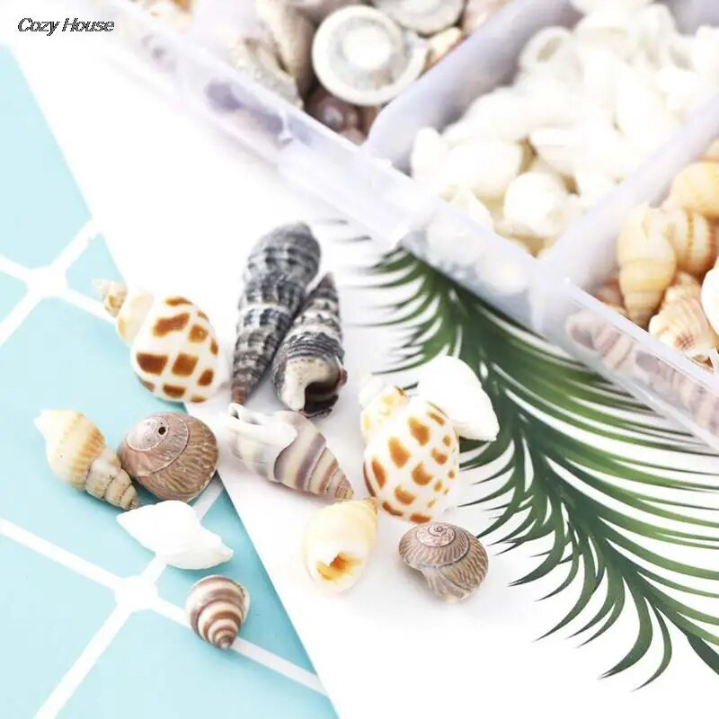 Mix Style Natural Shell 1-3cm 1 DĖŽUTĖ Natūralios kriauklytės Mini kriauklė Kukurūzų Sraigtas Sienų dekoravimas Pasidaryk pats akvariumo kraštovaizdžio kriauklės