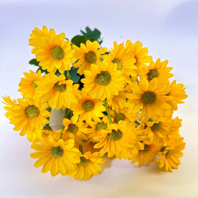 Mesterséges gerbera Művirágok Esküvői INS Dekorációs Stílus Otthon Asztali dekoráció Hamis virágok Esküvői dekorációk