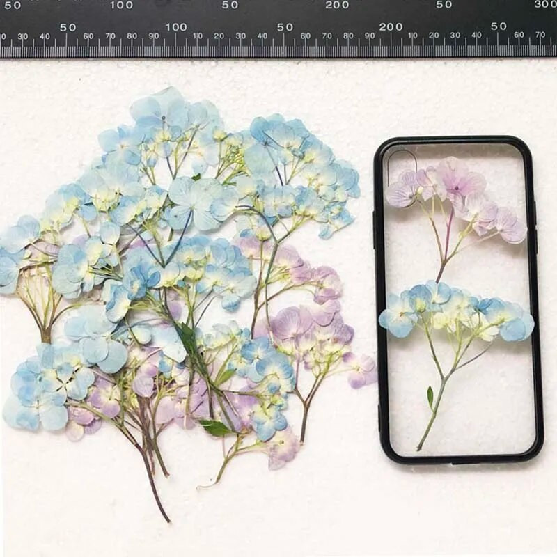 30 vnt. presuotos džiovintos daugiagalvės hortenzijos gėlių augalų herbariumas papuošalams Atvirukas Kvietimo kortelė Pažymėti telefono dėklas, pasidaryk pats