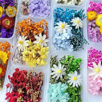 Creative Dried Flower Box Festival Party Aromatherapy Κερί εποξειδικής ρητίνης κρεμαστό κολιέ Κοσμήματα κατασκευής χειροτεχνίας DIY αξεσουάρ